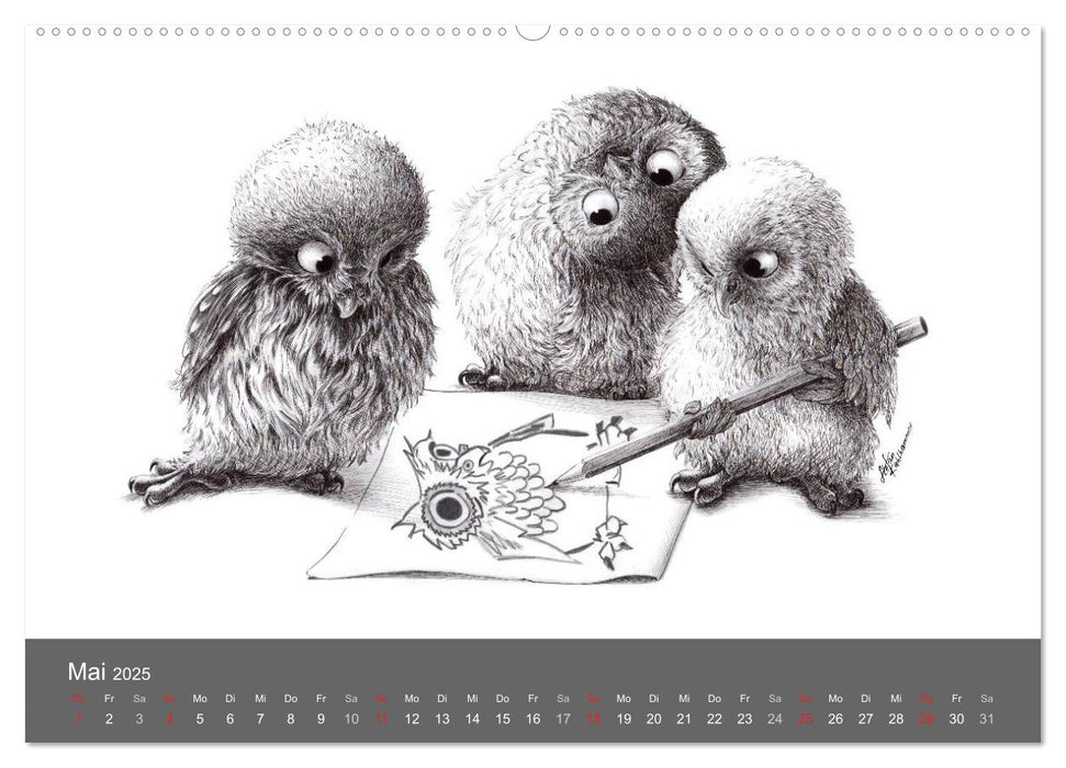 owls & friends 2025 (CALVENDO Premium Wandkalender 2025)