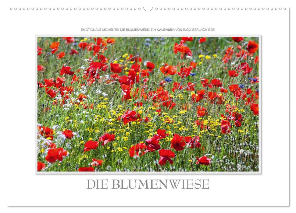 Emotionale Momente: Die Blumenwiese. (CALVENDO Wandkalender 2025)