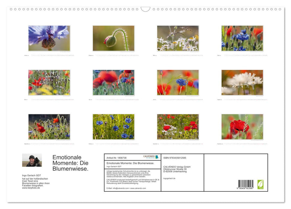 Emotionale Momente: Die Blumenwiese. (CALVENDO Wandkalender 2025)