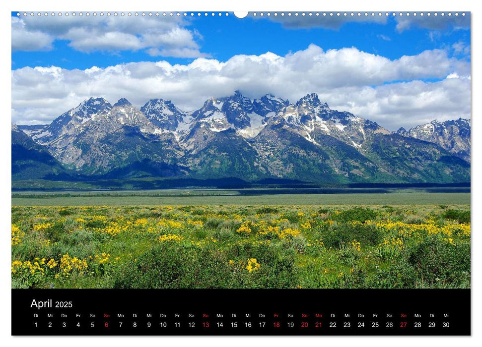 Wyoming! (CALVENDO Premium Wandkalender 2025)