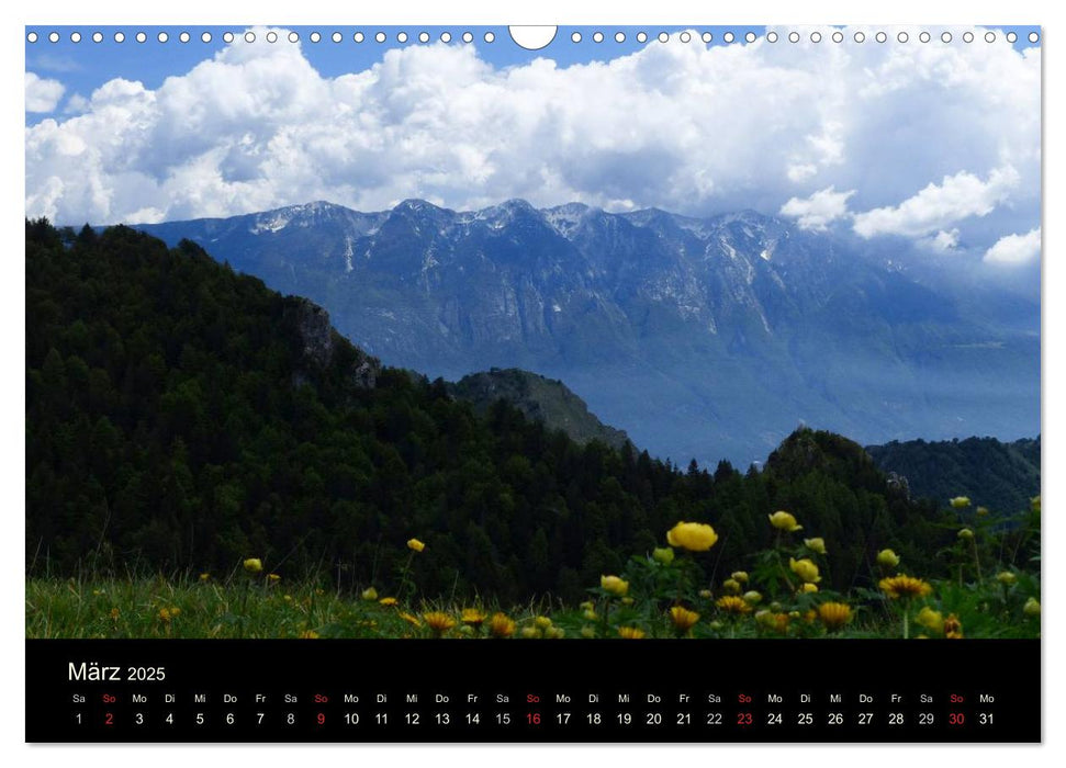 ALPEN - Sinfonie (CALVENDO Wandkalender 2025)