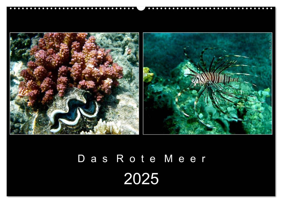 Das Rote Meer – 2025 (CALVENDO Wandkalender 2025)