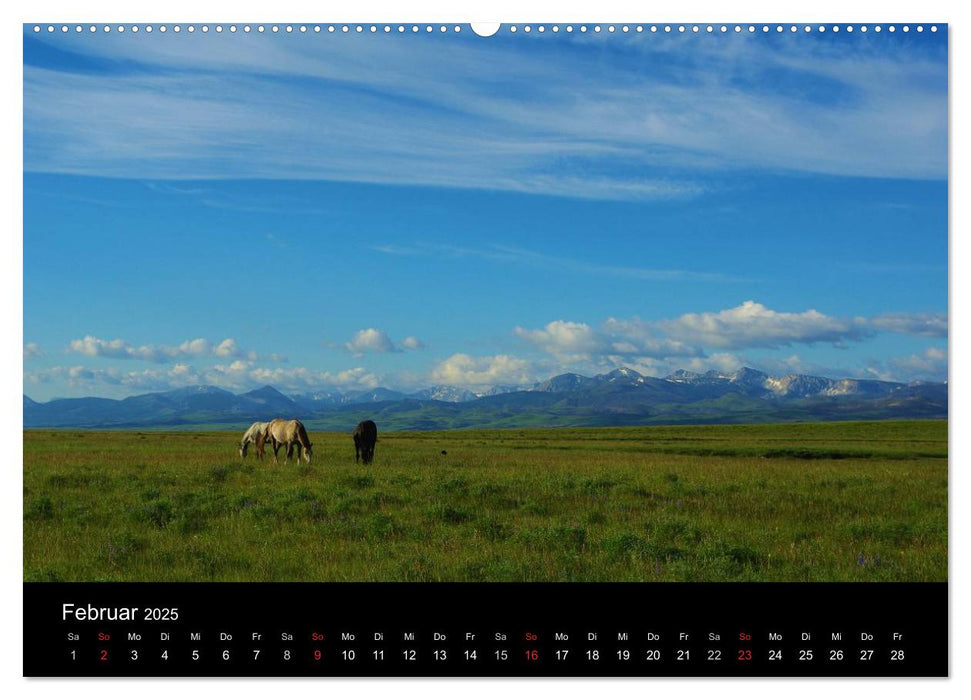 Montana! (CALVENDO Premium Wandkalender 2025)