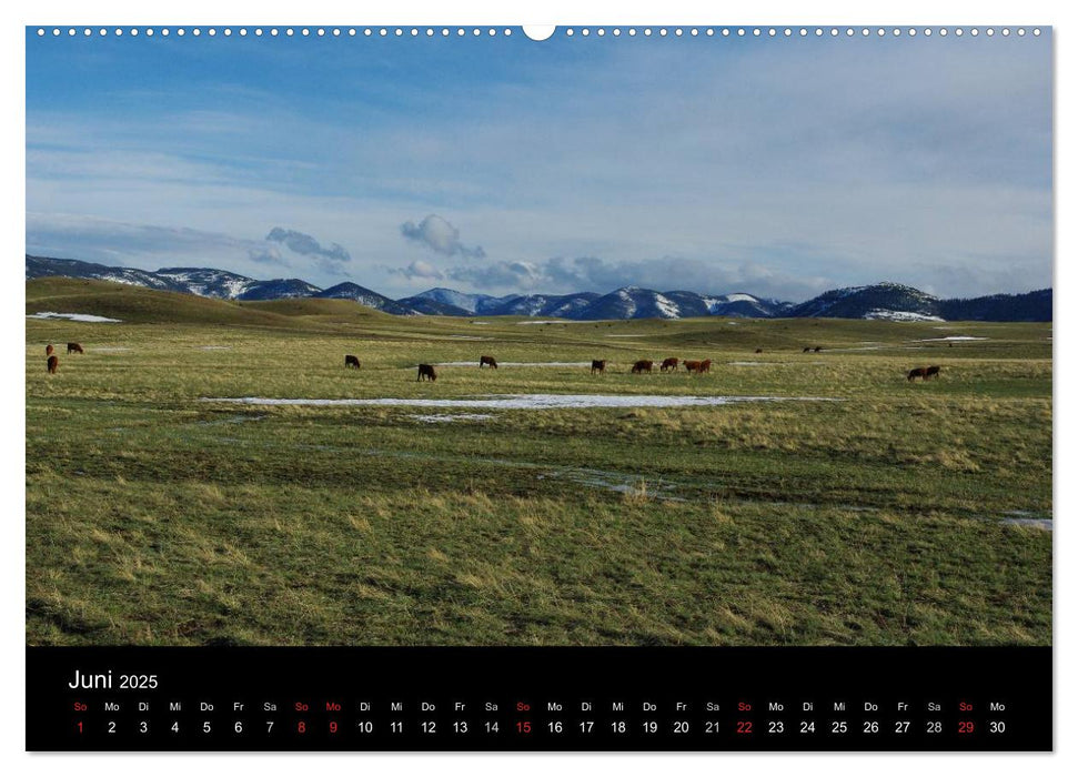 Montana! (CALVENDO Premium Wandkalender 2025)