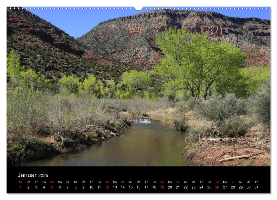 Treasures of New Mexico (CALVENDO Wandkalender 2025)