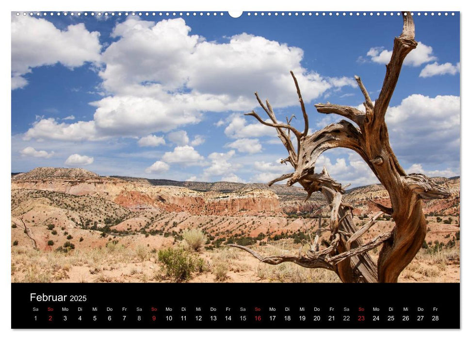 Treasures of New Mexico (CALVENDO Wandkalender 2025)