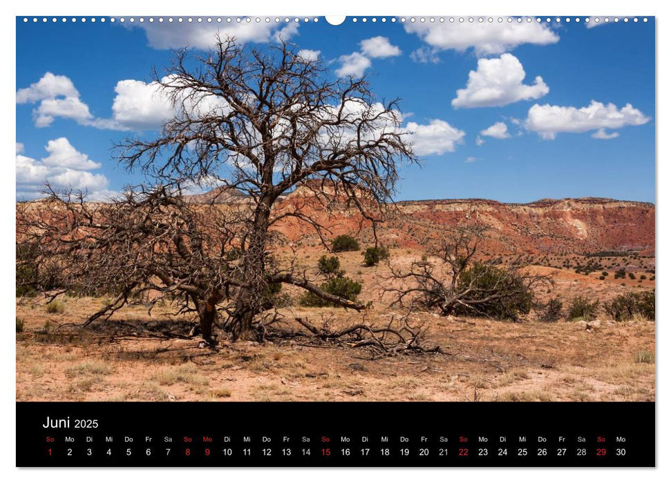 Treasures of New Mexico (CALVENDO Wandkalender 2025)