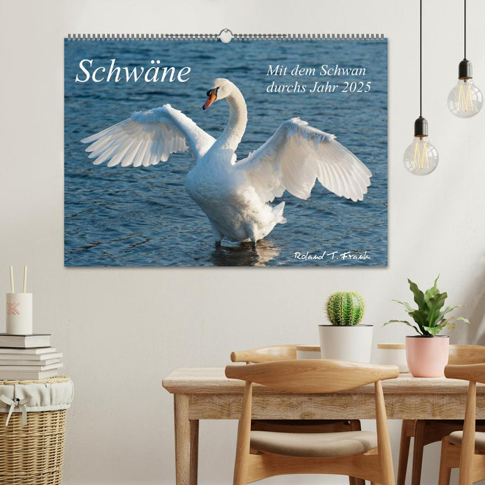 Mit dem Schwan durchs Jahr 2025 (CALVENDO Wandkalender 2025)