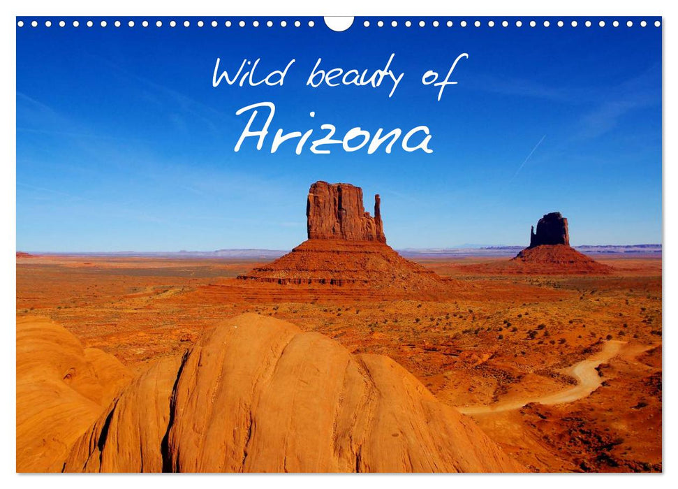 Wild beauty of Arizona (CALVENDO Wandkalender 2025)