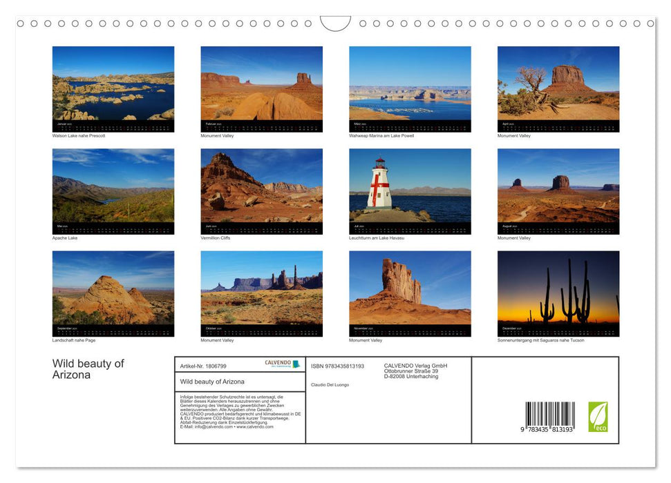 Wild beauty of Arizona (CALVENDO Wandkalender 2025)