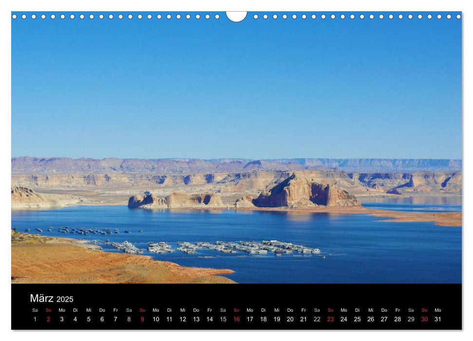 Wild beauty of Arizona (CALVENDO Wandkalender 2025)