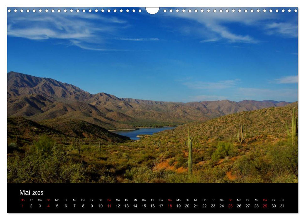 Wild beauty of Arizona (CALVENDO Wandkalender 2025)