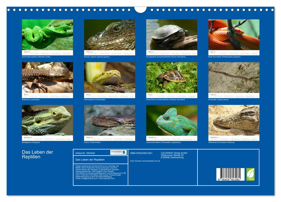 Das Leben der Reptilien (CALVENDO Wandkalender 2025)