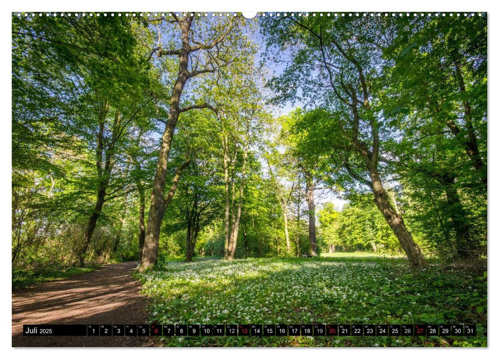 Mannheim ist Schön! (CALVENDO Premium Wandkalender 2025)