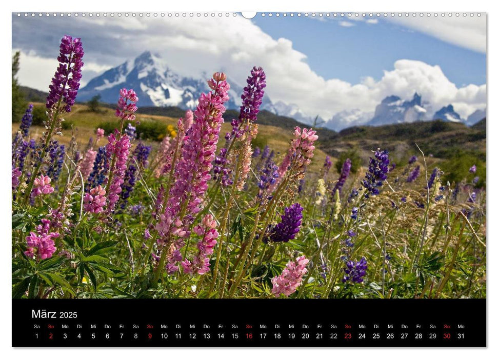 Fantastisches Chile (CALVENDO Wandkalender 2025)