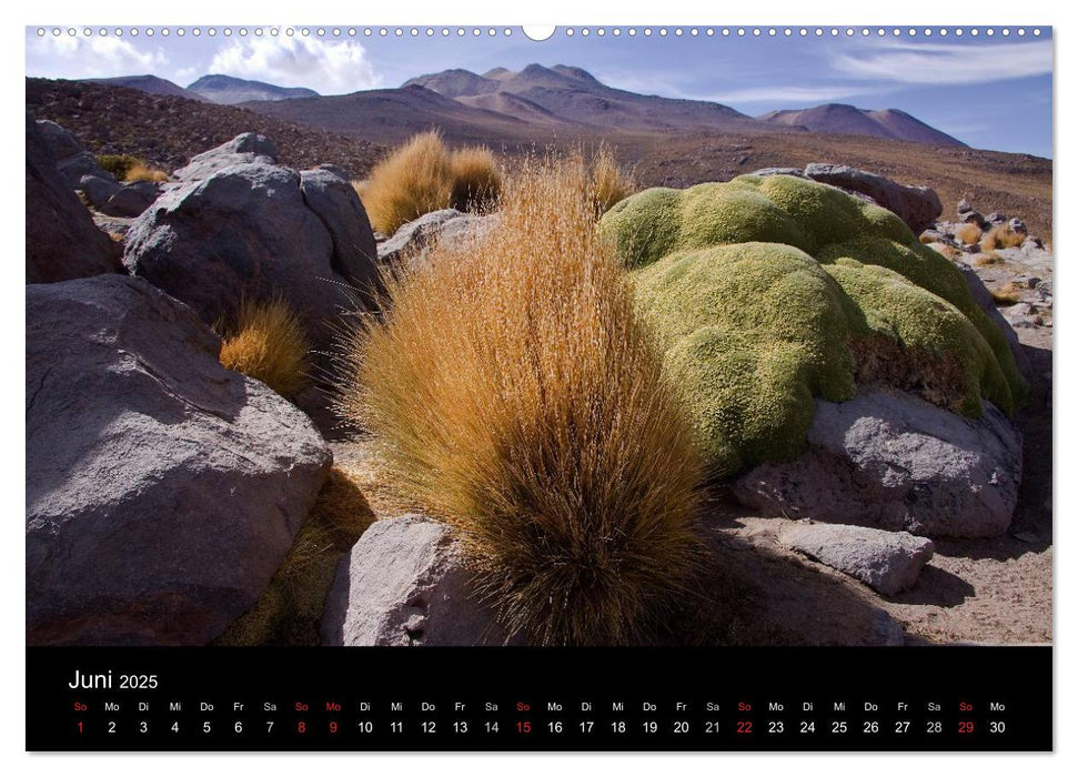 Fantastisches Chile (CALVENDO Wandkalender 2025)