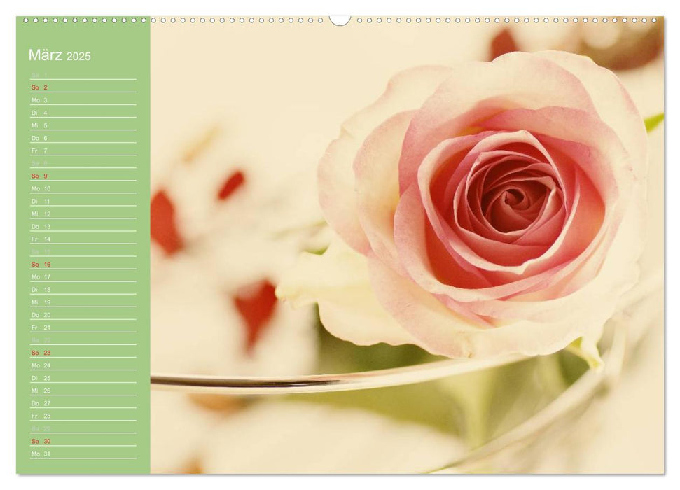 Rosen Blüten Terminkalender (CALVENDO Premium Wandkalender 2025)