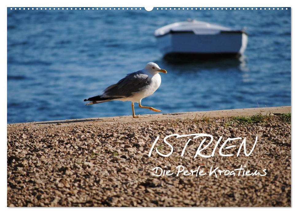 ISTRIEN - Die Perle Kroatiens (CALVENDO Wandkalender 2025)