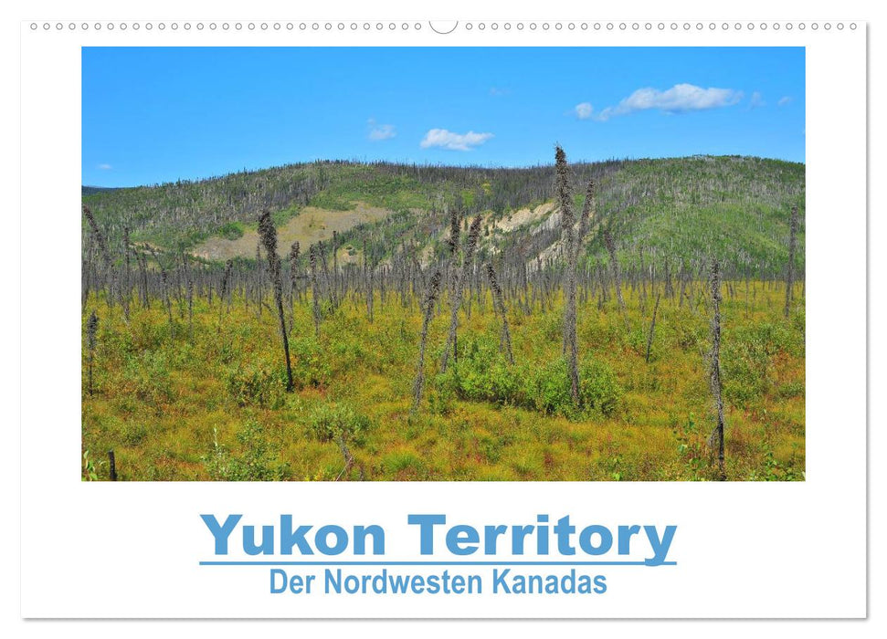 Yukon Territory - Der Nordwesten Kanadas (CALVENDO Wandkalender 2025)