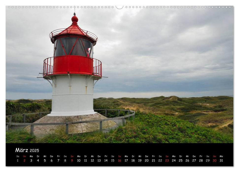 Amrum (CALVENDO Premium Wandkalender 2025)