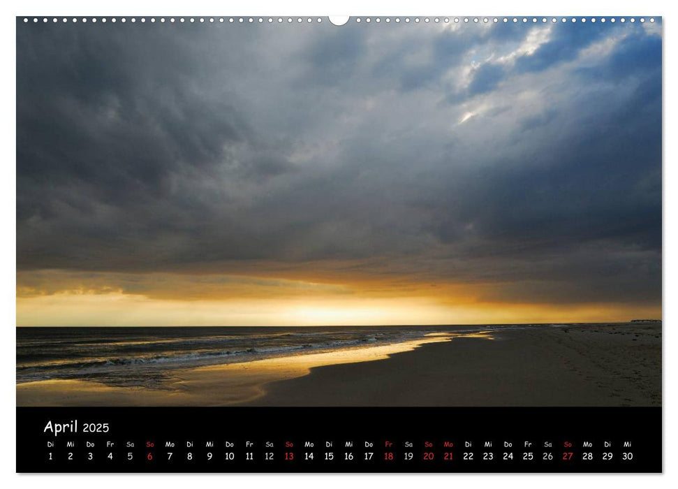 Amrum (CALVENDO Premium Wandkalender 2025)