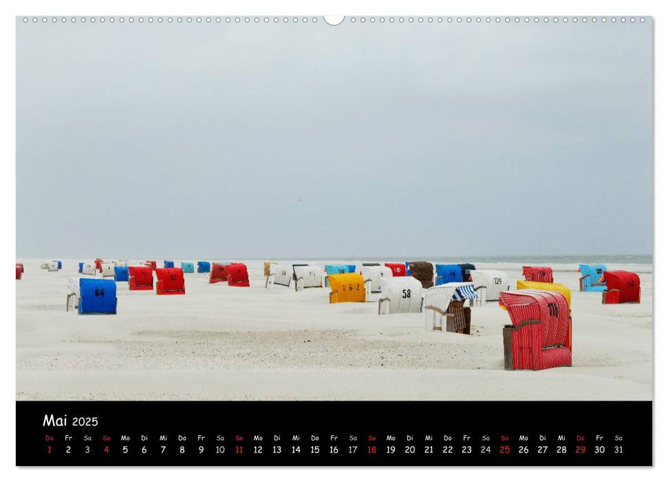 Amrum (CALVENDO Premium Wandkalender 2025)