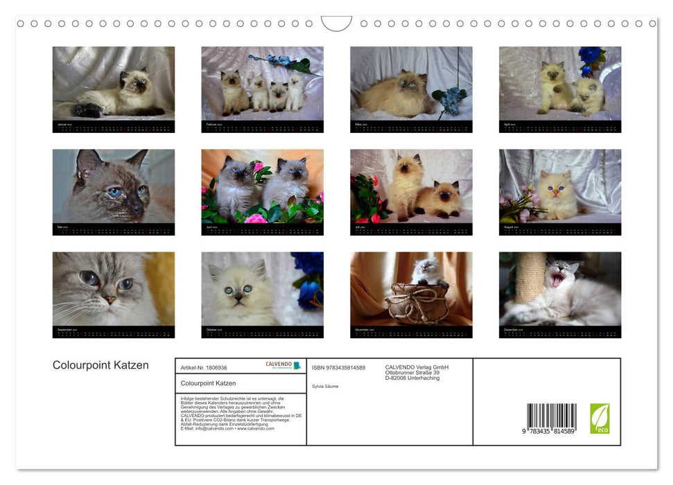 Colourpoint Katzen (CALVENDO Wandkalender 2025)