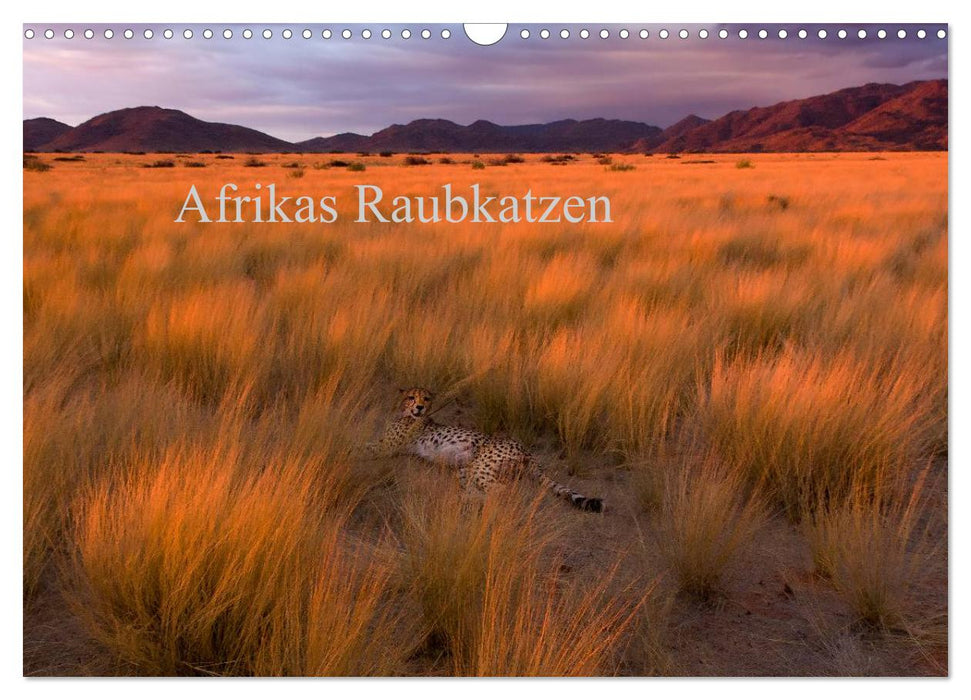 Afrikas Raubkatzen (CALVENDO Wandkalender 2025)