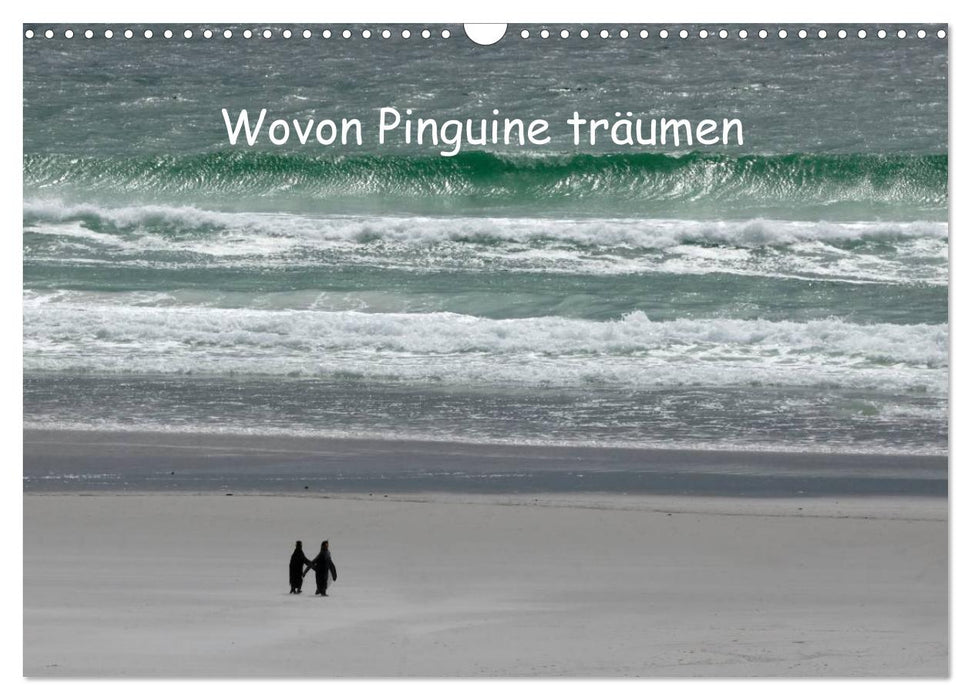 Wovon Pinguine träumen (CALVENDO Wandkalender 2025)