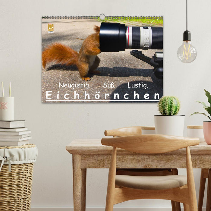 Eichhörnchen (CALVENDO Wandkalender 2025)