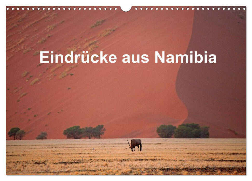 Eindrücke aus Namibia (CALVENDO Wandkalender 2025)