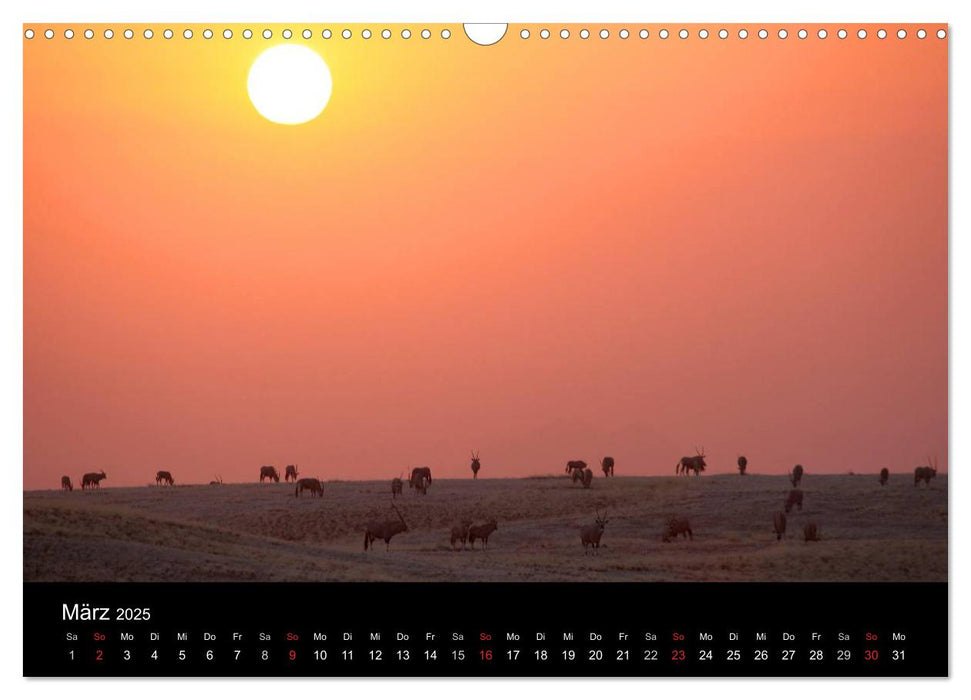 Eindrücke aus Namibia (CALVENDO Wandkalender 2025)