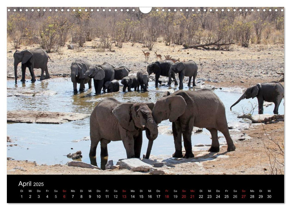 Eindrücke aus Namibia (CALVENDO Wandkalender 2025)