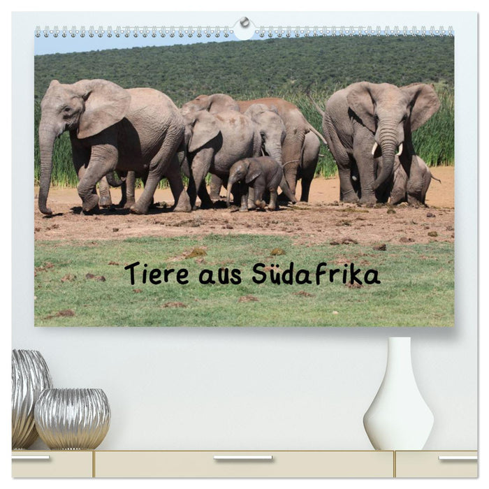 Tiere aus Südafrika (CALVENDO Premium Wandkalender 2025)