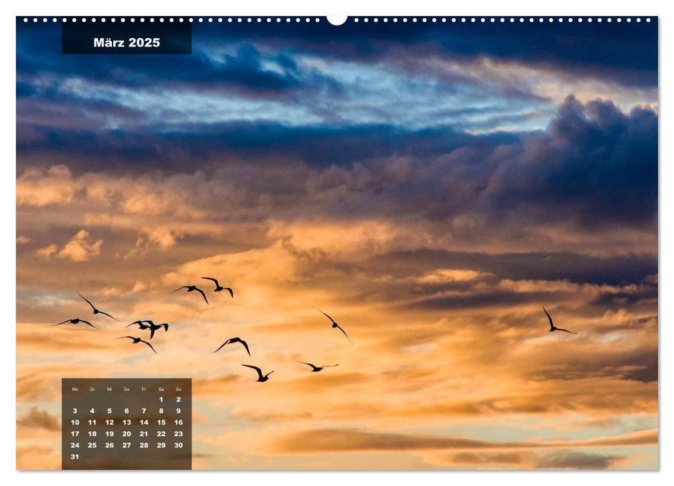 australian colors (CALVENDO Wandkalender 2025)