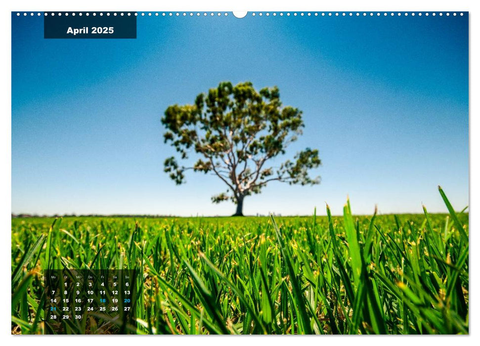 australian colors (CALVENDO Wandkalender 2025)