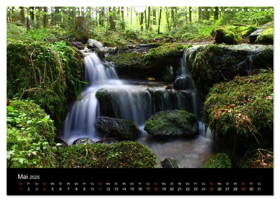 Geheimnisvolle Bäche und Flüsse (CALVENDO Wandkalender 2025)