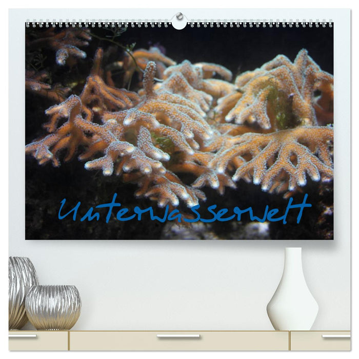 Unterwasserwelt (CALVENDO Premium Wandkalender 2025)