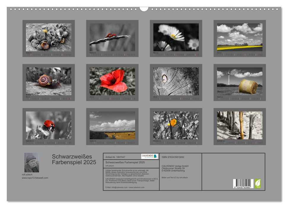 Schwarzweißes Farbenspiel 2025 (CALVENDO Wandkalender 2025)