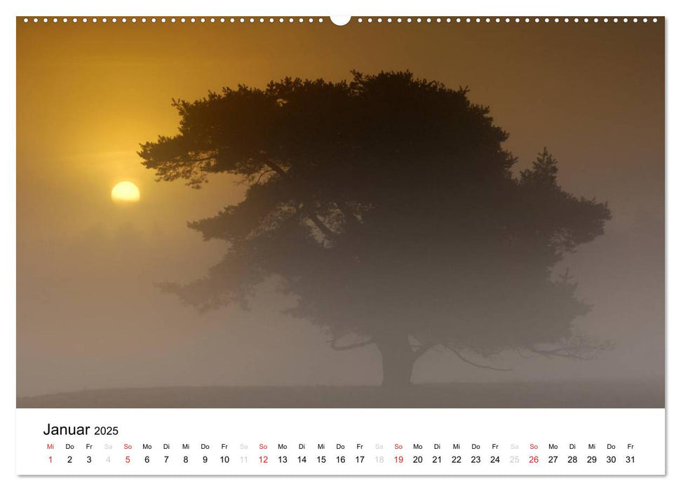 MORGENS UND ABENDS - Zauberhafte Lichtstimmungen (CALVENDO Wandkalender 2025)