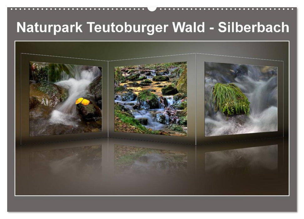 Naturpark Teutoburger Wald - Silberbach (CALVENDO Wandkalender 2025)