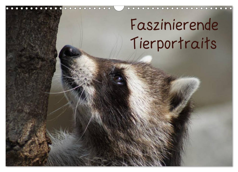 Faszinierende Tierportraits (CALVENDO Wandkalender 2025)