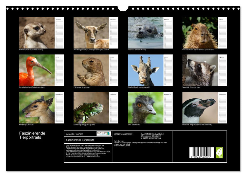 Faszinierende Tierportraits (CALVENDO Wandkalender 2025)