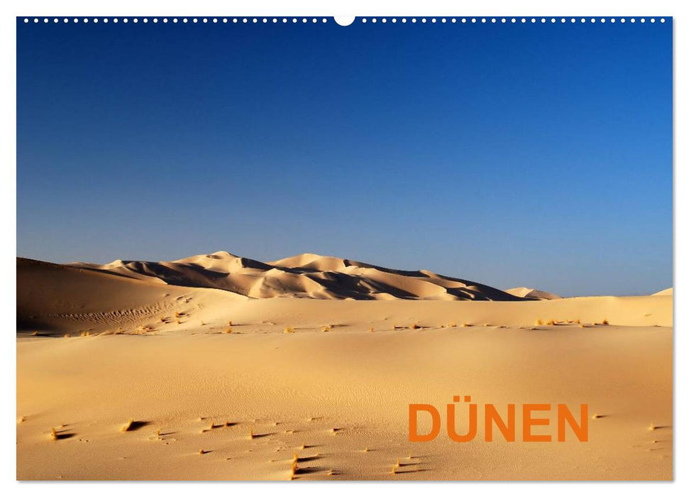 Dünen (CALVENDO Wandkalender 2025)