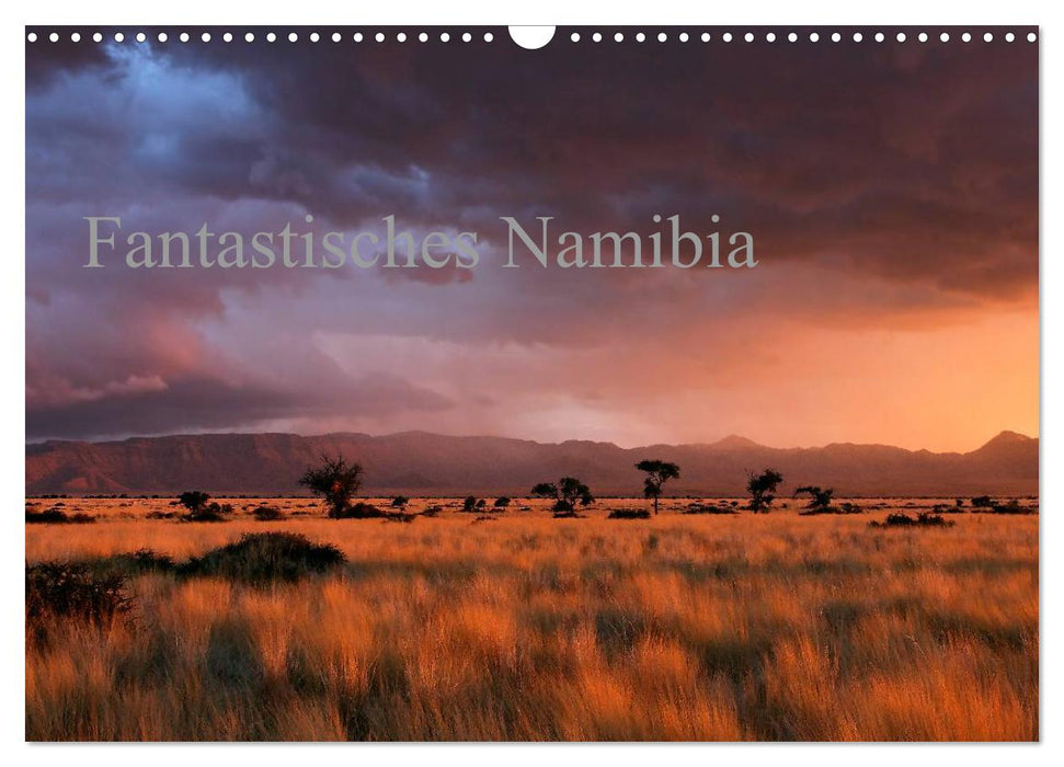 Fantastisches Namibia (CALVENDO Wandkalender 2025)