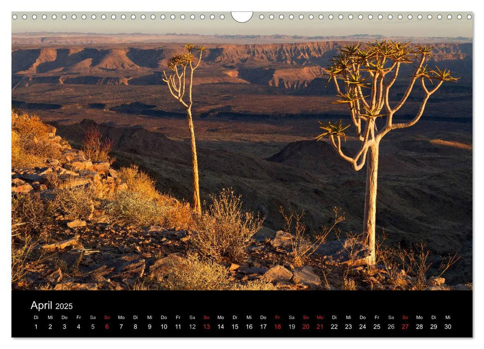 Fantastisches Namibia (CALVENDO Wandkalender 2025)