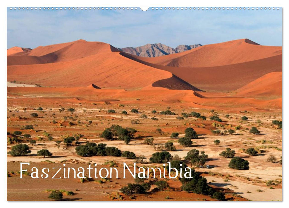 Faszination Namibia (CALVENDO Wandkalender 2025)