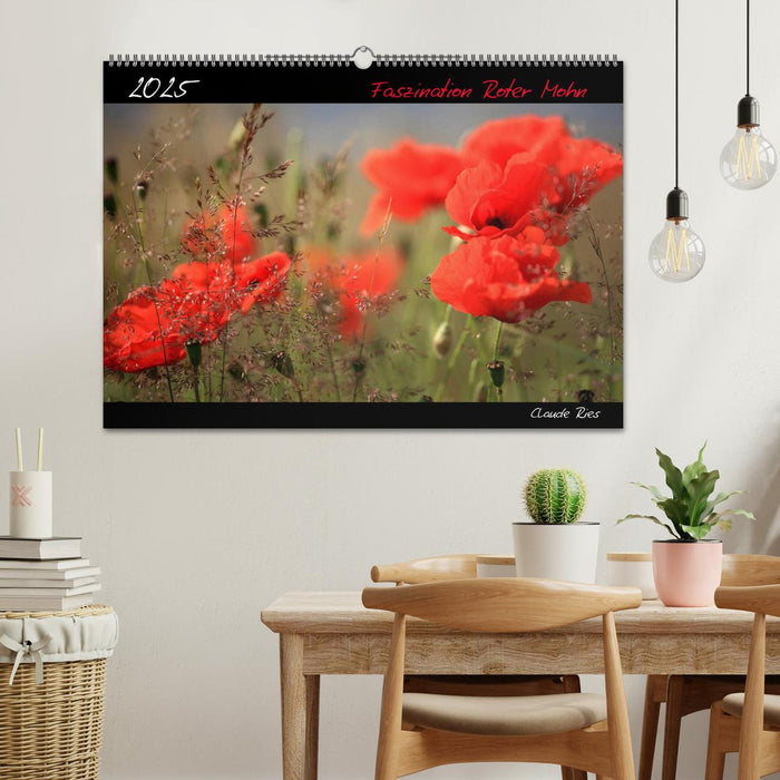 Faszination Roter Mohn (CALVENDO Wandkalender 2025)