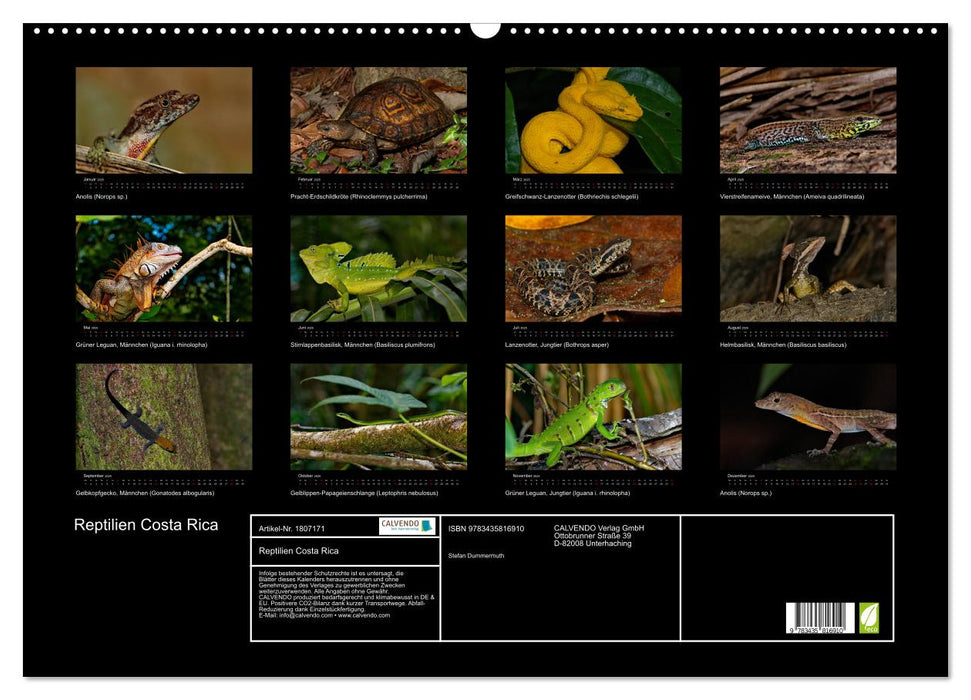 Reptilien Costa Rica (CALVENDO Wandkalender 2025)
