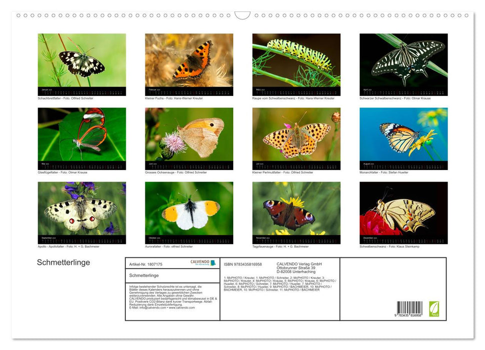 Schmetterlinge (CALVENDO Wandkalender 2025)